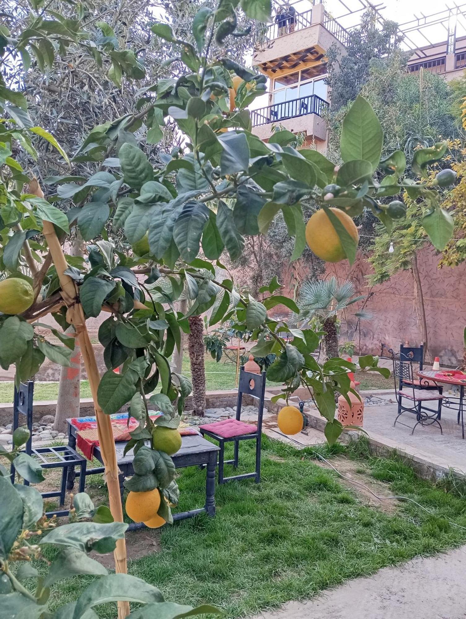 Dar Soulaimane Hotel Asguine Exterior photo